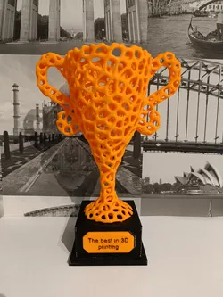 Voronoi Trophy