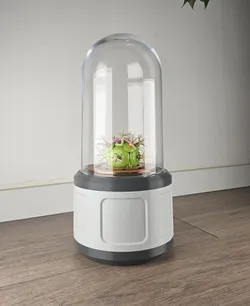 BLOOM - Sci fi Planter for Bell Jars / Glass Domes