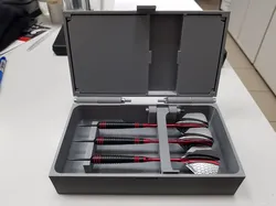 Darts case