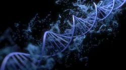 DNA Helix
