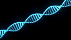 DNA Helix