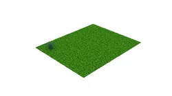 Grass and Flower