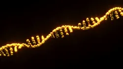 RNA Helix