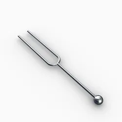 Tuning Fork