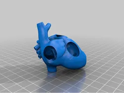 anatomical heart very good