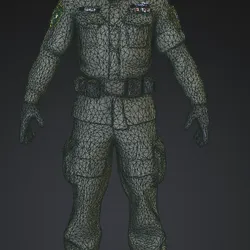 Army Sergeant