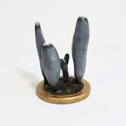 Xylaria polymorpha – MacroFungi Collection: Second Edition  (1 of 10)