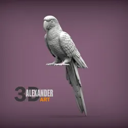 Ara parrot