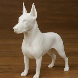 Doberman