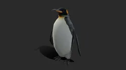 King Penguin Low Poly Animated
