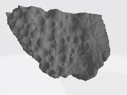 Oolitic Limestone