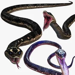 DOWNLOAD VIPER 3D MODEL - DINOSAUR - MYTHOLOGICAL - FIHS - PYTHON - REPTILE - SNAKE - ANIMATED -