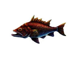 Snapper