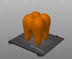 Teeth
