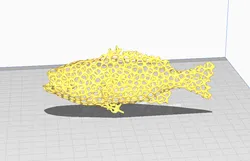 voronoi snapper