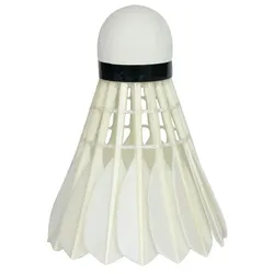Badminton Birdie