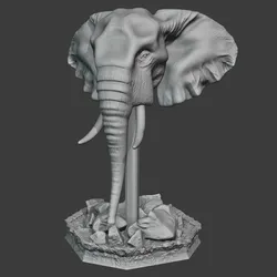 Elephant Head