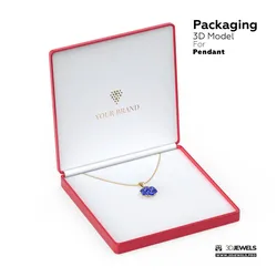 Packaging For Jewelry Pendant Presentation