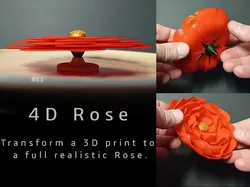 4D printed Rose