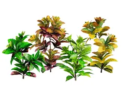 Croton Plant with 4 variation Tutorial