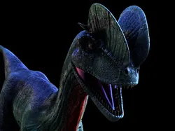 Dilophosaurus