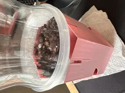Humidity Cover for Utilitarian Planter