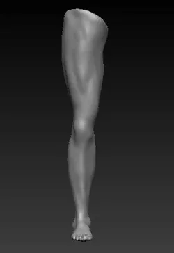 Low poly leg Modelo 3D