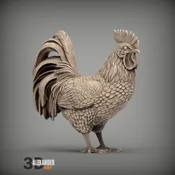 Rooster