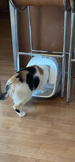 Surefeed Microchip Pet Bowl Frame - Half