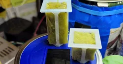 .75" Rockwool mini-cube netcup