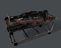 A body on a gurney