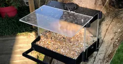 Bird feeder for small birds