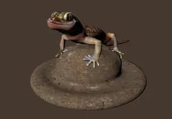 Brown lizard on a rock OWENDAL