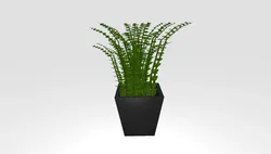 Bush 2 low poly OWENDAL