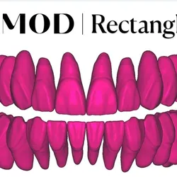 M.O.D EXOCAD Premium Tooth Libraries - Chemnitz 3.3