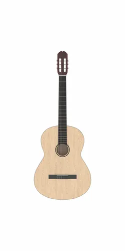 Classical guitar