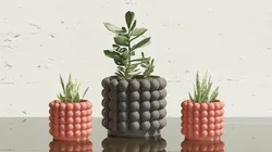 Plant Pot with Bubbles - Home Decoration