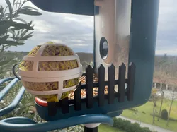 Bird Buddy Picket Fence For Suet Ball Holder