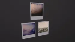 Polaroid Photos