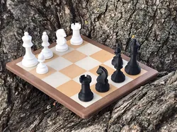 Travel Chess Pieces - magnetized