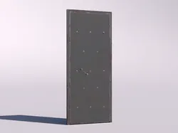Iron door