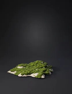 green mossy island with rocky base
