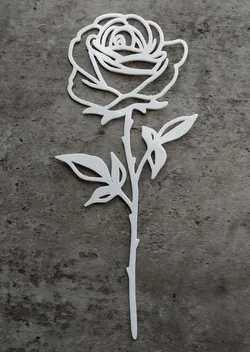 International Women's Day / Valentine's Day Rose - 12
