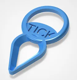 Keychain for removing ticks