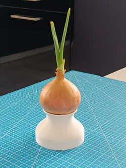 Onion chives pot
