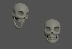 Skull