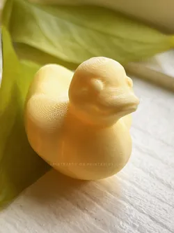 Rubber Duck Toy