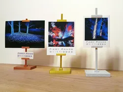 Stylish Instant Photo Holder (art gallery style)