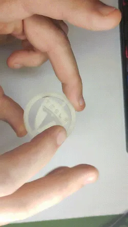 Tesla keychain