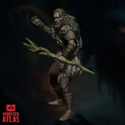 Wood Elf Druid